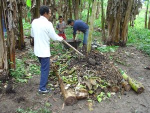 Ecuador_composting_method_(Peru)