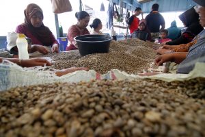 Sejumlah ibu memilah-milah biji kopi jenis Arabica yang kualitas baik dengan yang rusak di Takengon, Aceh Tengah, Selasa (31/3). Kopi- kopi tersebut dijual dengan harga Rp 64.000 per kilogram dan didistribusikan ke daerah - daerah luar Aceh. ANTARA FOTO/Regina Safri/ss/pd/15.