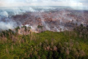 Areal lahan dan hutan terbakar di Desa Bokor, Kabupaten Kepulauan Meranti, Riau, Selasa (15/3). Kencangnya tiupan angin disertai cuaca panas membuat api dengan cepat membakar lahan dan hutan hingga menjalar ke perkebunan warga. ANTARA FOTO/Rony Muharrman/kye/16