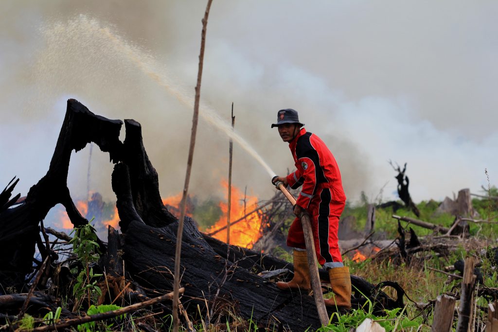 Seorang petugas berusaha memadamkan api yang membakar lahan yang diperuntukan sebagai perkebunan kelapa sawit di Desa Tanjung Palas, Dumai Timur, Dumai, Riau, Sabtu (5/3). ANTARA FOTO/Aswaddy Hamid/kye/16.