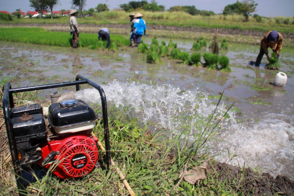 Petani menyedot air tanah dengan mesin pompa untuk mengairi sawahnya di Sidoarjo, Jawa Timur, Jumat (12/8). Sebagian petani yang sawahnya tidak memiliki irigasi teknis terpaksa menggunakan mesin pompa air agar bisa terus bercocok tanam. ANTARA FOTO/Umarul Faruq/pd/16